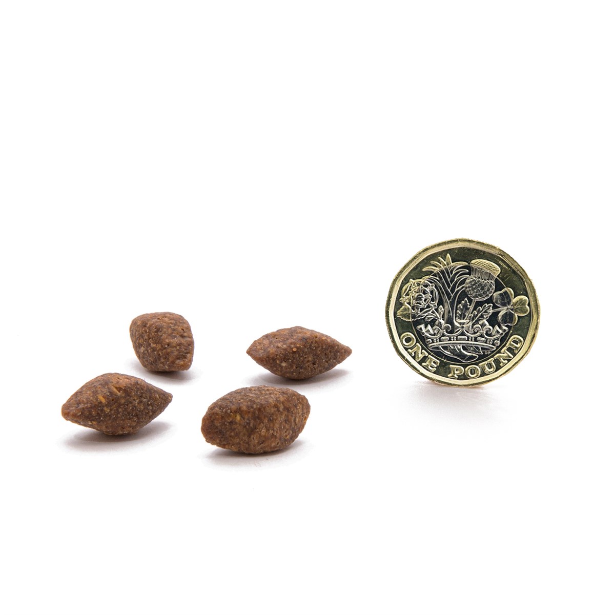 CANAGAN - 無穀物蟲蟲蛋白配方狗糧（1.5kg）