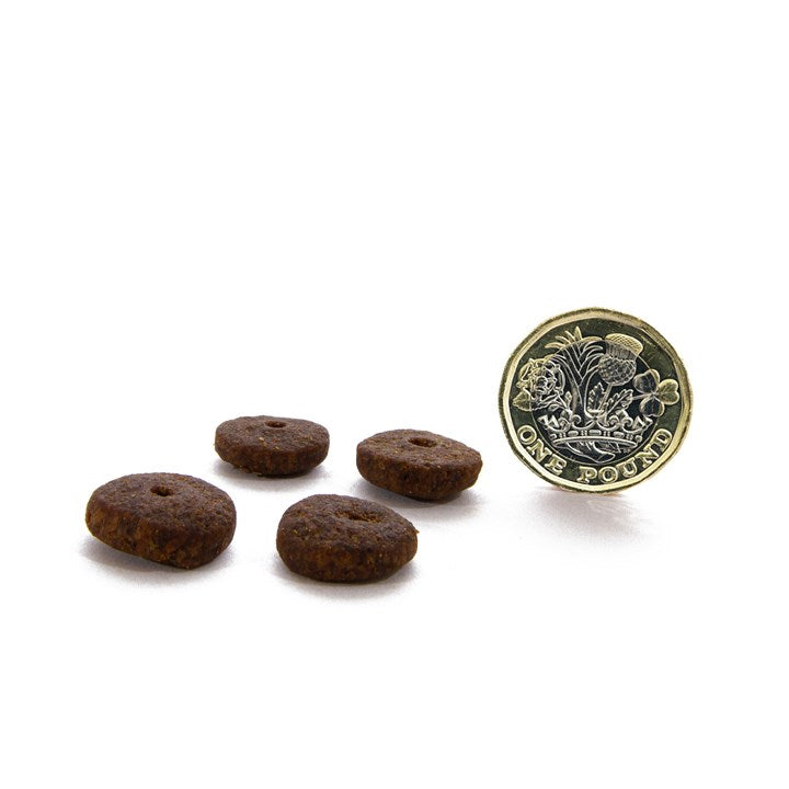 CANAGAN - 無穀物走地雞老犬配方（2kg／6kg／12kg）