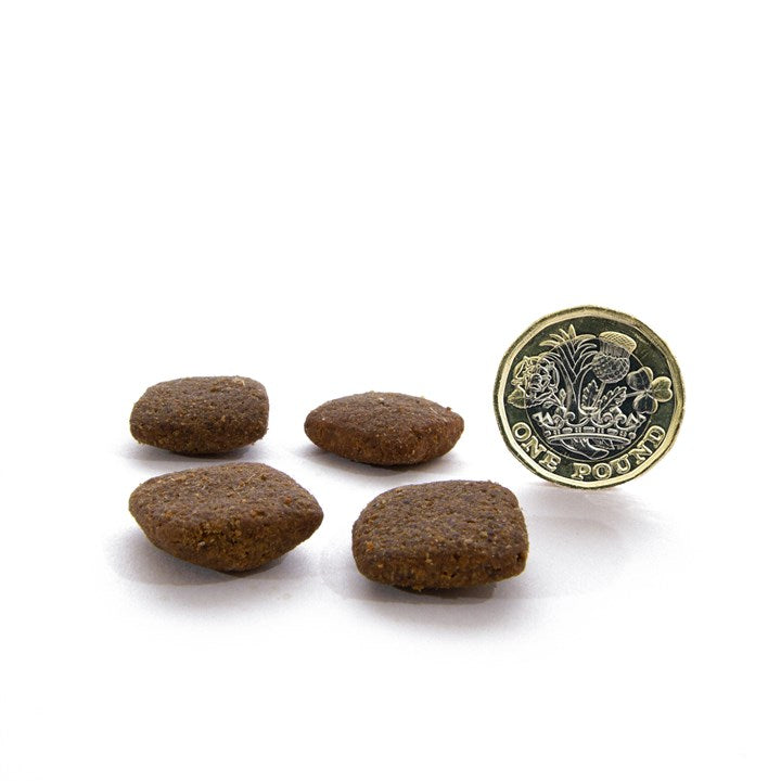 CANAGAN - 無穀物放牧羊狗糧配方（2kg／6kg／12kg）