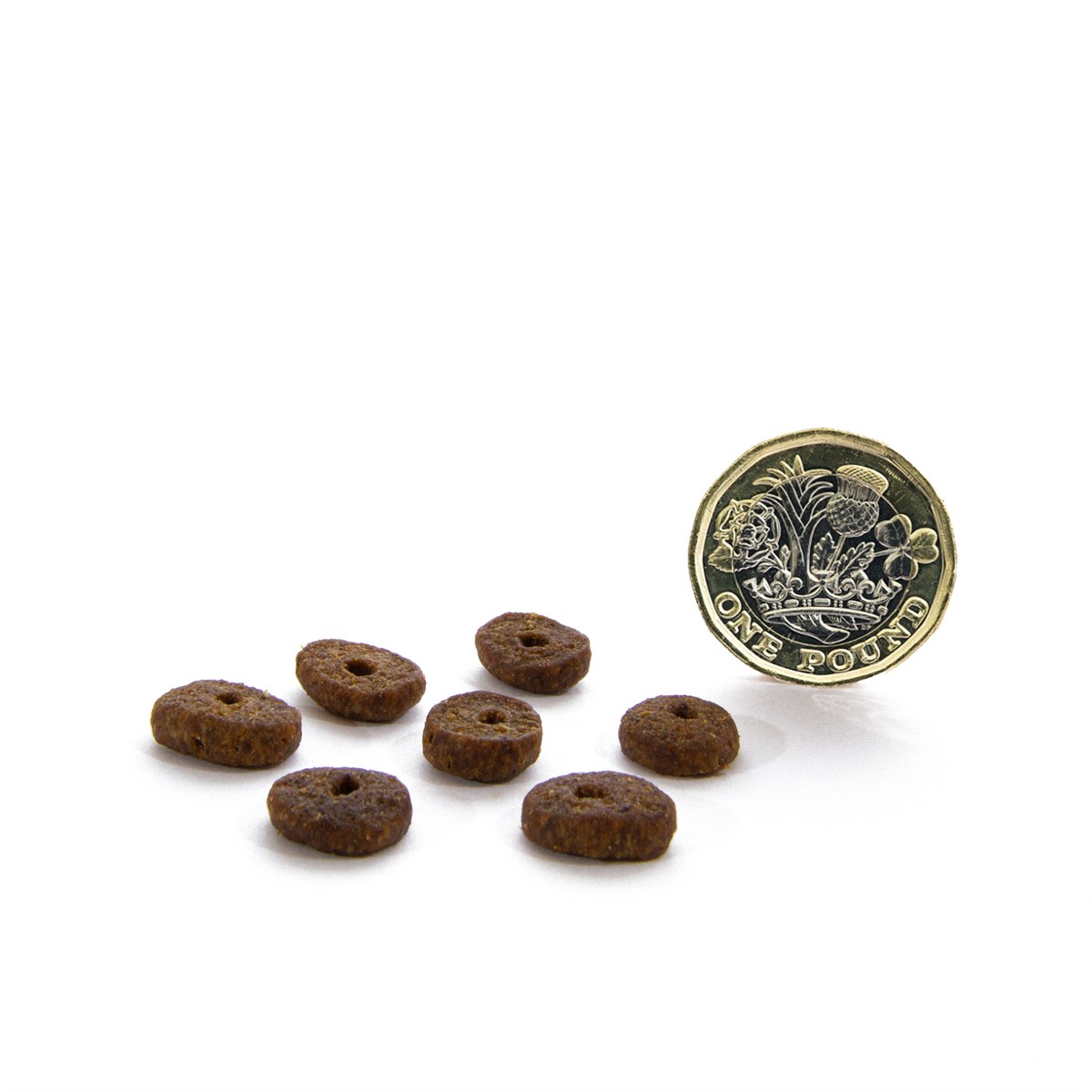 CANAGAN - 無穀物走地雞配方小型犬專用（2kg／6kg）