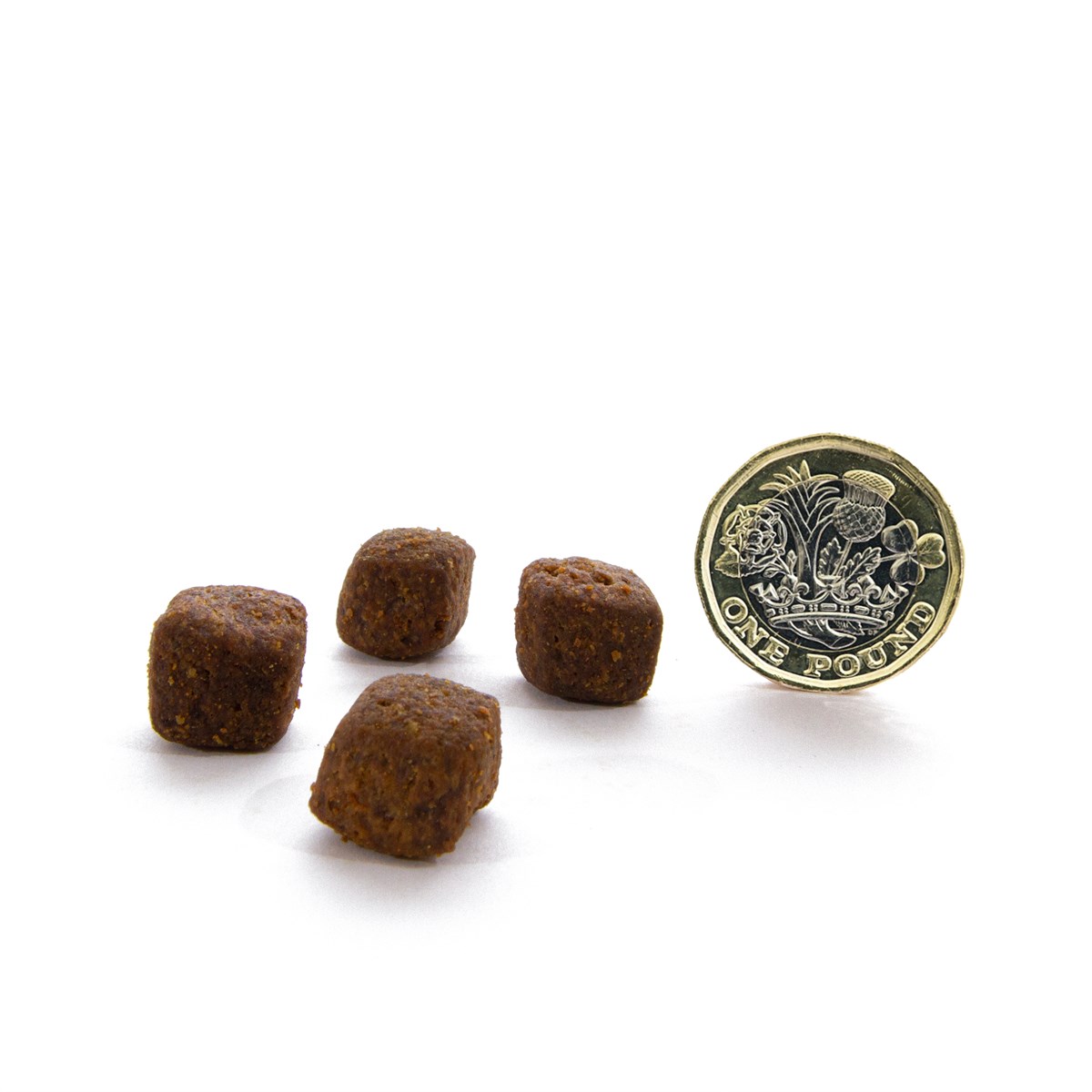 CANAGAN - 無穀物火雞健齒配方小型犬專用（2kg／6kg）