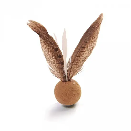 From the Field - 軟木飛鳥