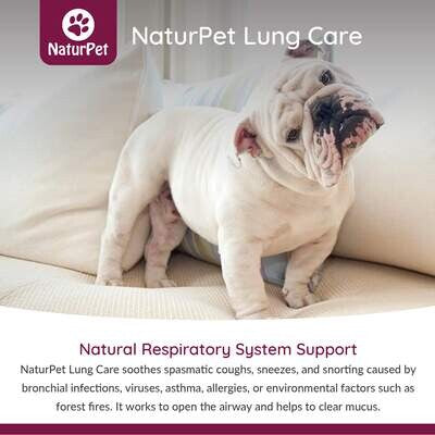 NaturPet - 肺部護理 Lung Care