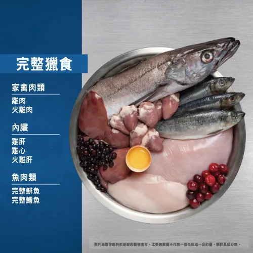 Orijen - 無穀配方成犬飼料（2kg／6kg／11.4kg）