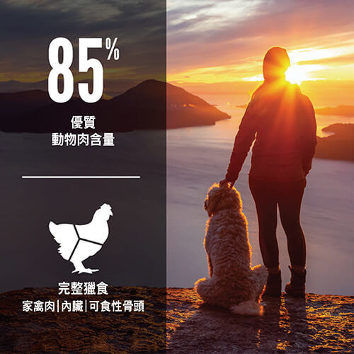 Orijen - 無穀配方老犬飼料（2kg／6kg／11.4kg）