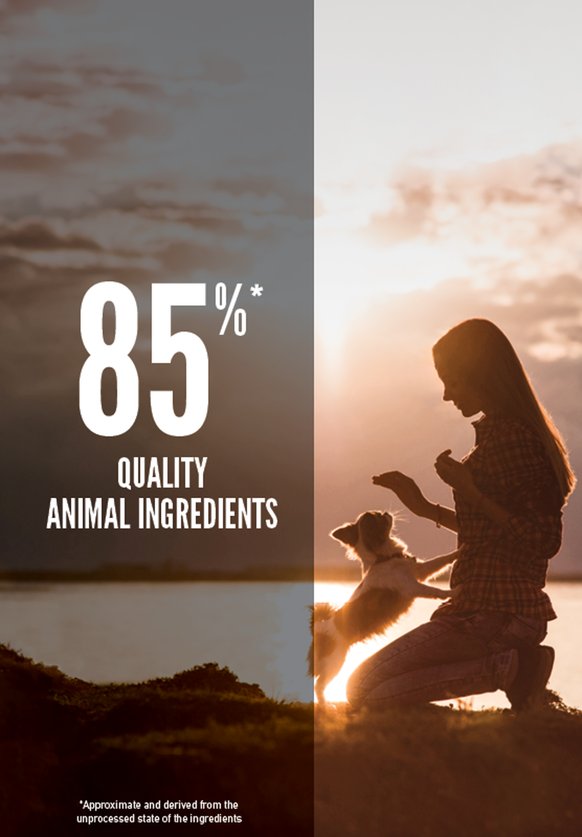 Orijen - 雞肉小型成犬無榖飼料（1.8kg／4.5kg）