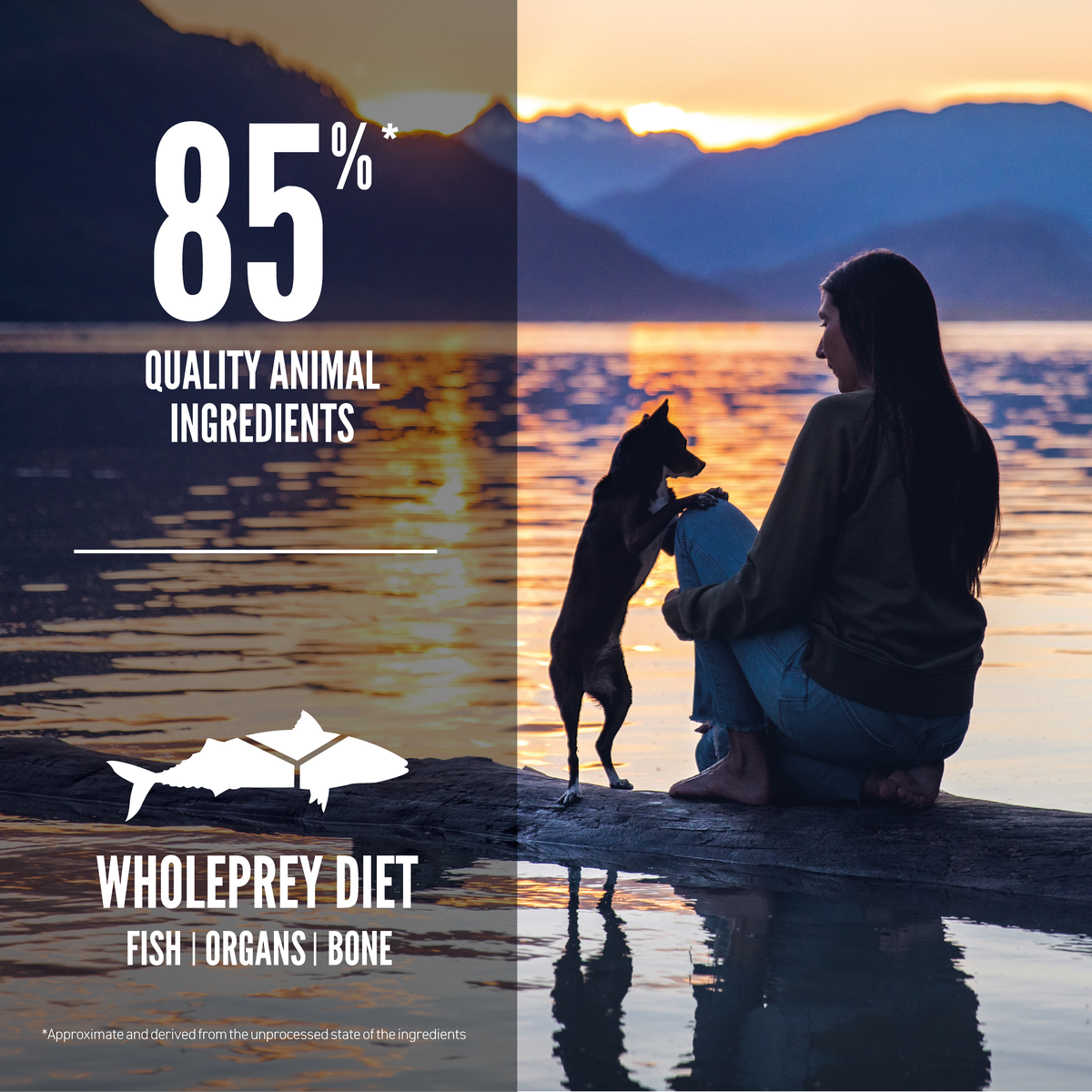 Orijen - 海洋魚小型犬無榖飼料（1.8kg／4.5kg）