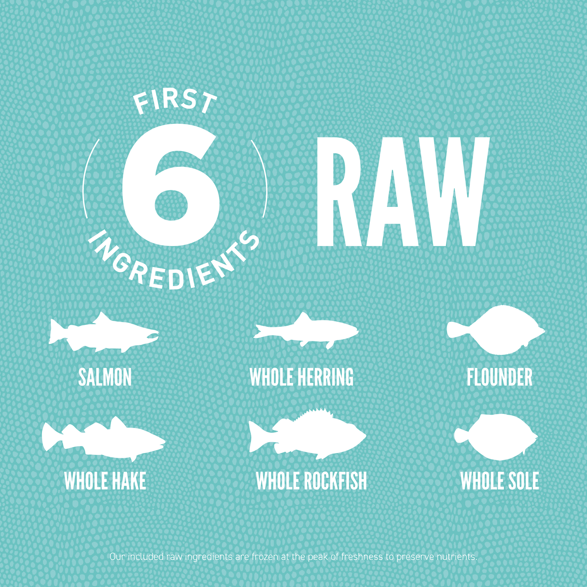 Orijen - 海洋魚小型犬無榖飼料（1.8kg／4.5kg）