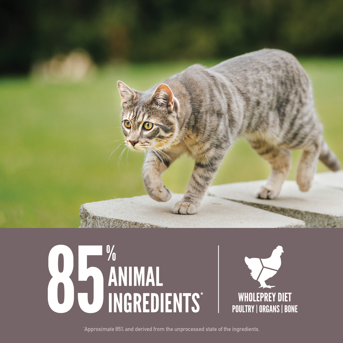 Orijen - 無穀物健美貓糧配方（1.8kg／5.4kg）