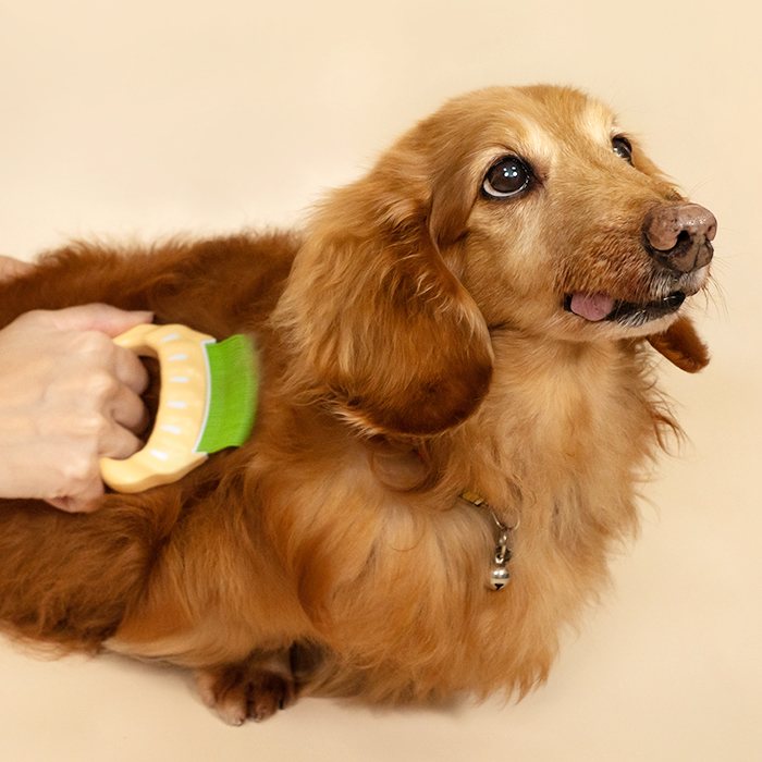 汪喵星球 - 日本 Philocomb 寵物貝殼梳