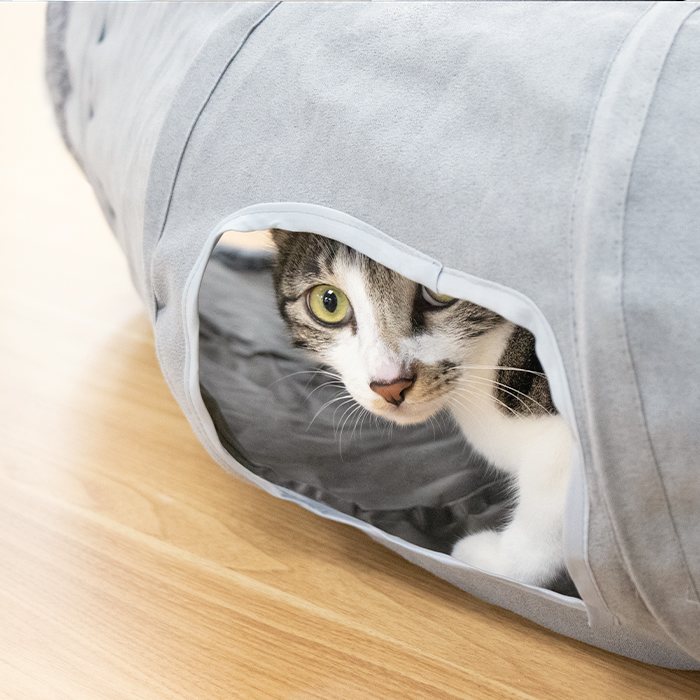 汪喵星球 - S型靜音貓隧道（可折疊）