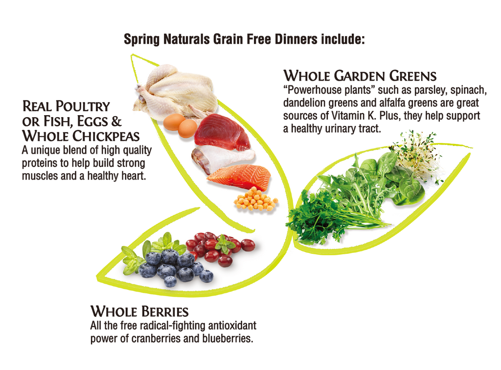 Spring Naturals - 無穀物配方貓糧系列（吞拿魚及雞肉／吞拿魚／雞肉／火雞及三文魚／三文魚）