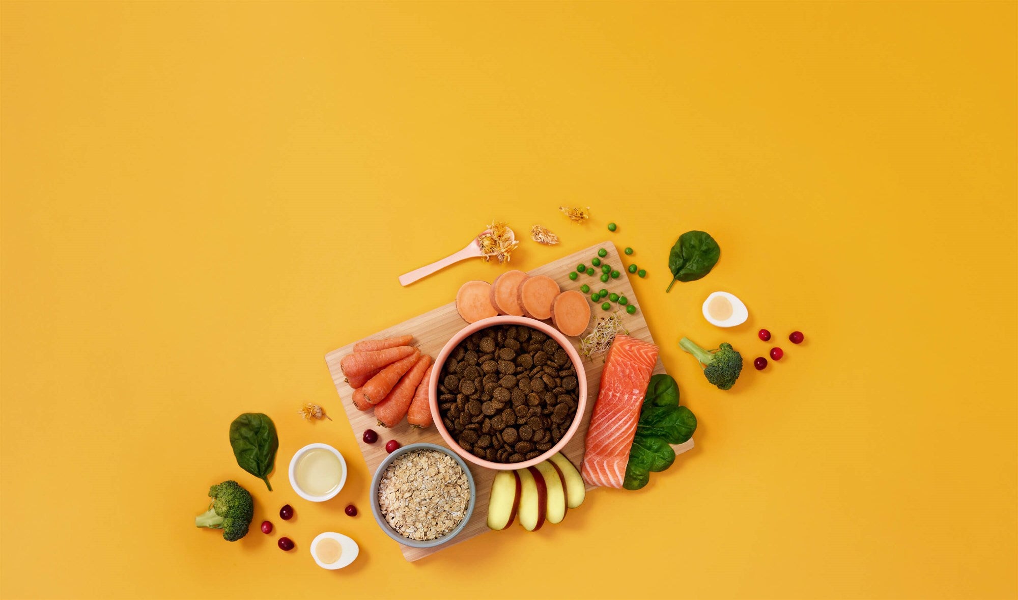 Symply - 鮮三文魚皮膚問題狗糧配方（2kg／6kg）