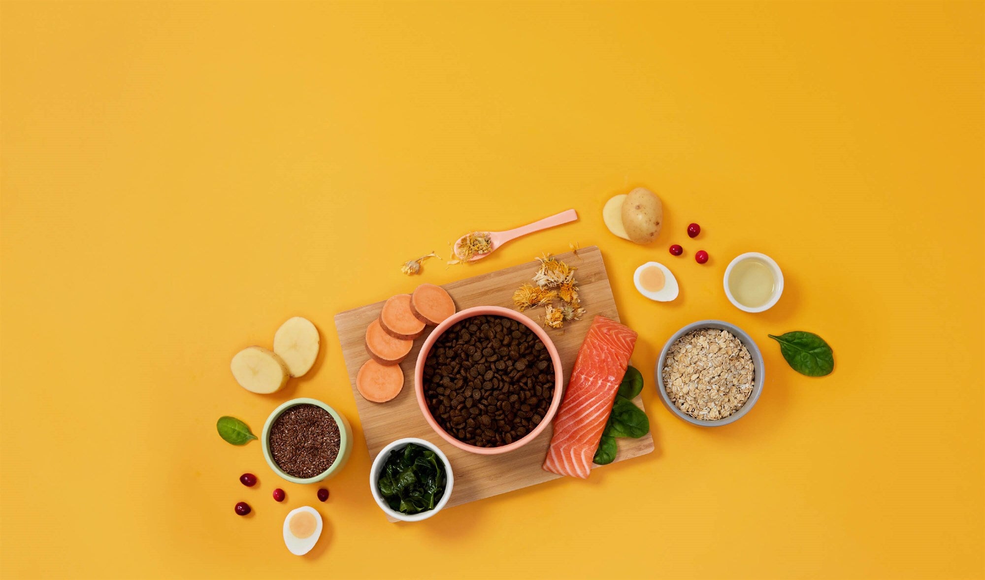 Symply - 鮮三文魚全方位貓糧配方（1.5kg／4kg）