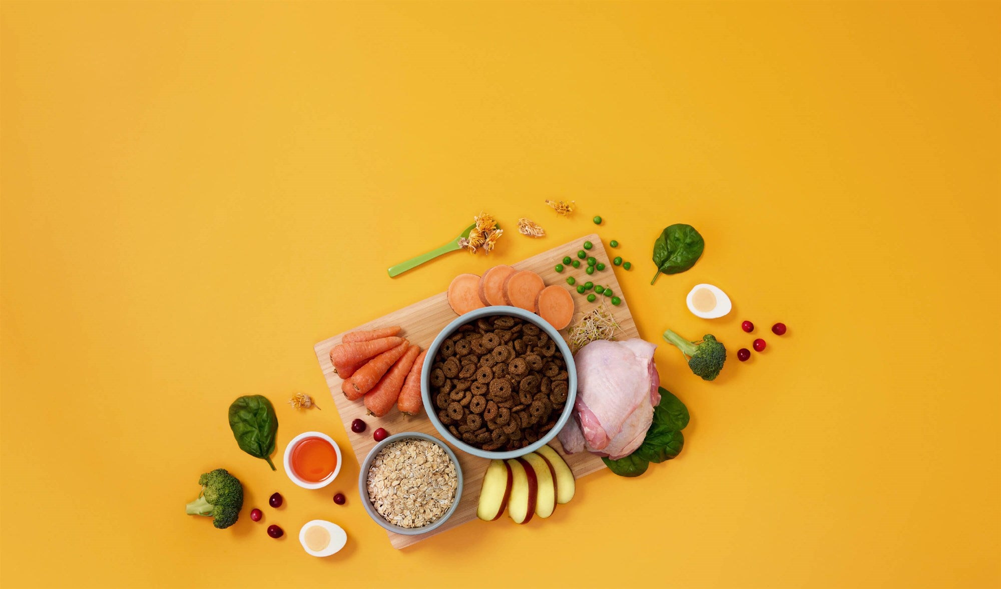 Symply - 鮮雞肉皮膚及腸胃問題狗糧配方（2kg／6kg／12kg）