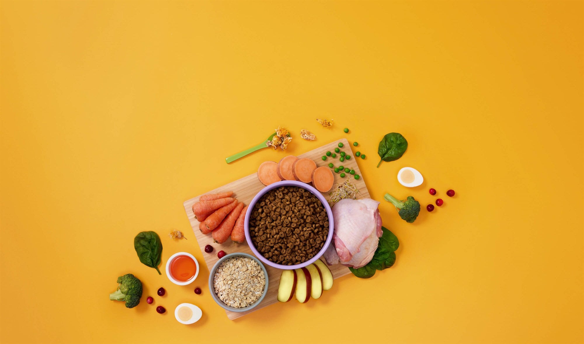 Symply - 鮮火雞肉敏感腸胃狗糧配方（2kg／6kg）