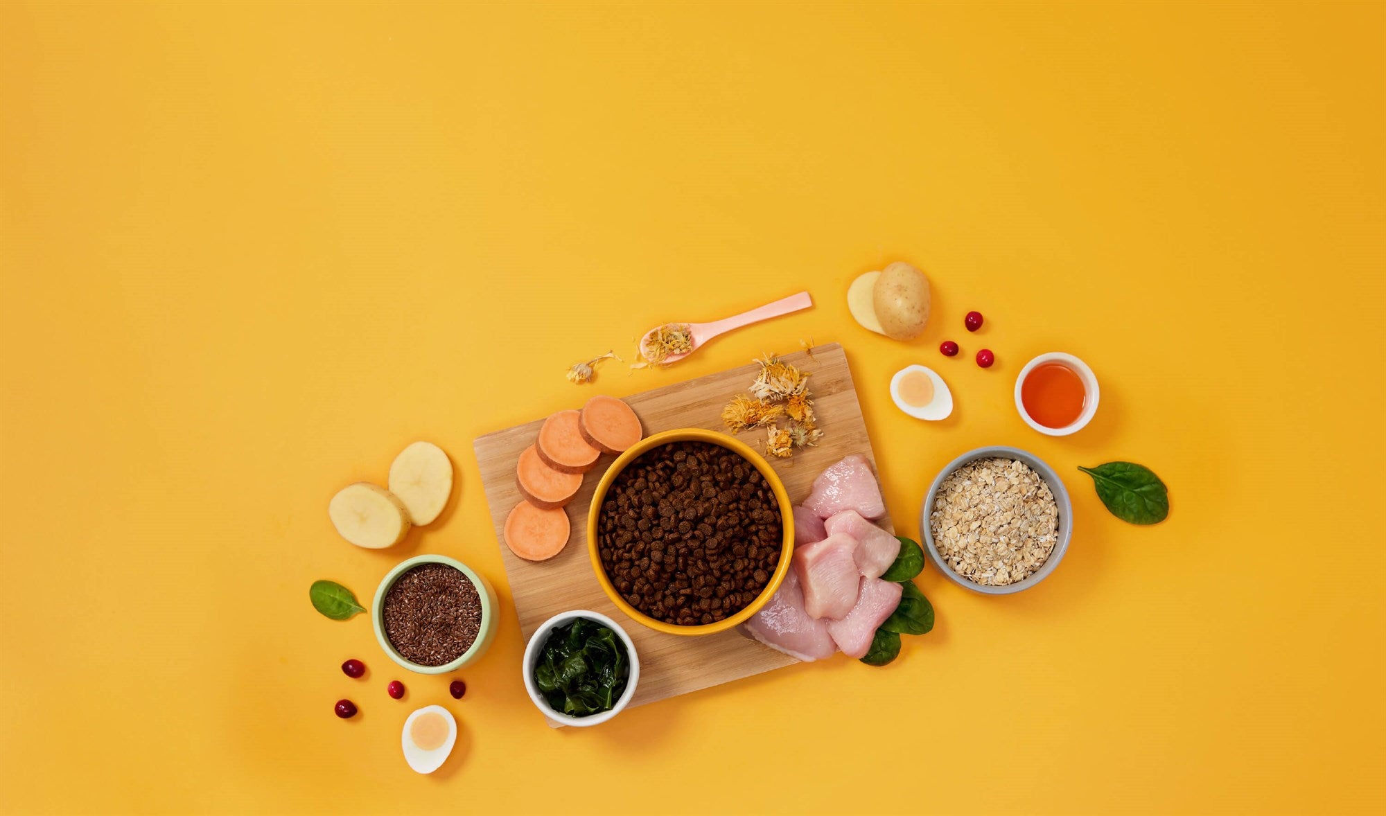 Symply - 鮮雞肉全方位貓糧配方（1.5kg／4kg）