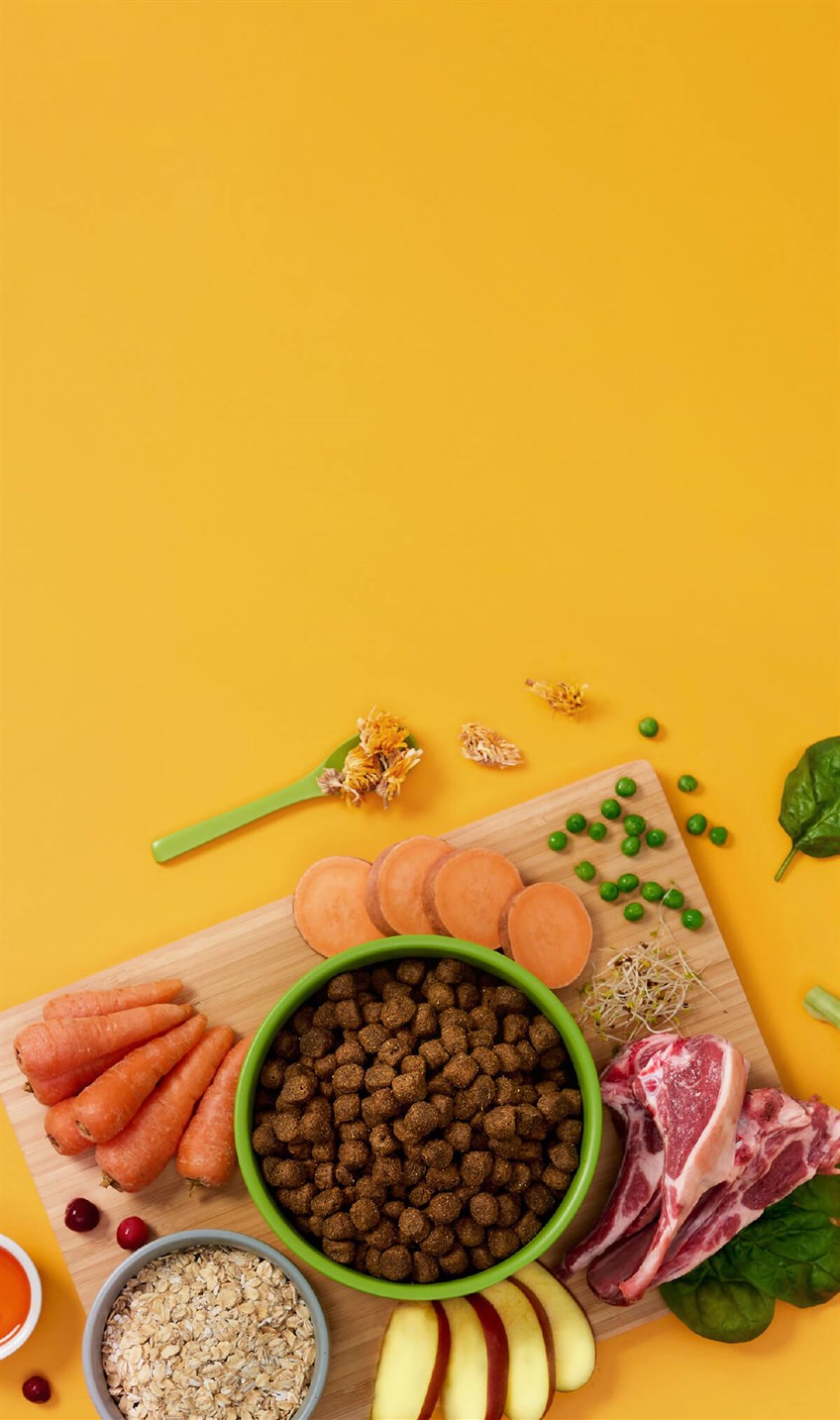 Symply - 鮮羊肉過敏皮膚狗糧配方（2kg／6kg）