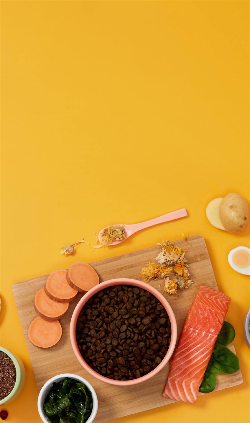 Symply - 鮮三文魚全方位貓糧配方（1.5kg／4kg）