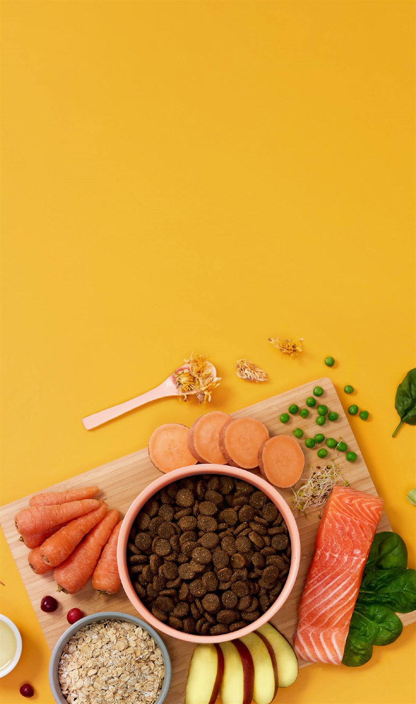 Symply - 鮮三文魚皮膚問題狗糧配方（2kg／6kg）