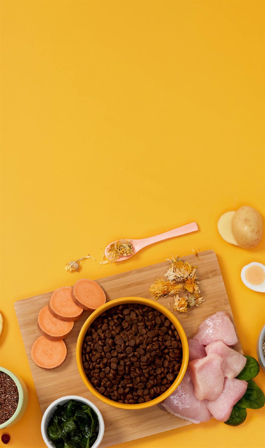 Symply - 鮮雞肉全方位貓糧配方（1.5kg／4kg）