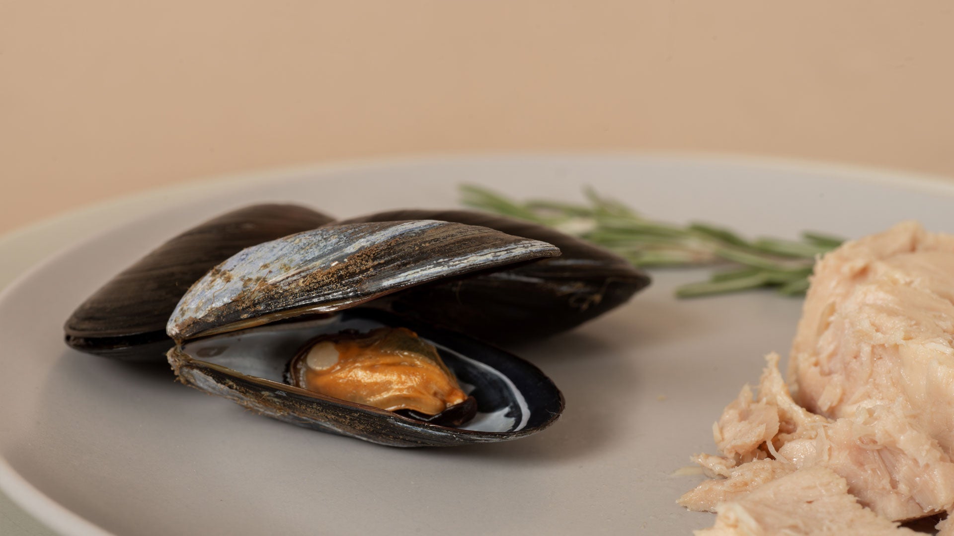 Aimé Kitchen - 啖啖肉補水系列 - 無穀物營養貓罐